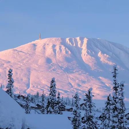 Gausta Med Elbillader, Naerhet Til Gaustatoppen In Out