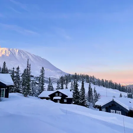 Semesterbostad Gausta Med Elbillader, Naerhet Til Gaustatoppen In Out