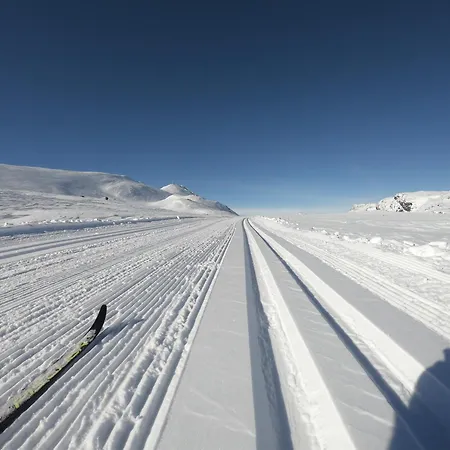 別荘 Gausta Med 6 Sengeplasser I Naerhet Til Gaustatoppen