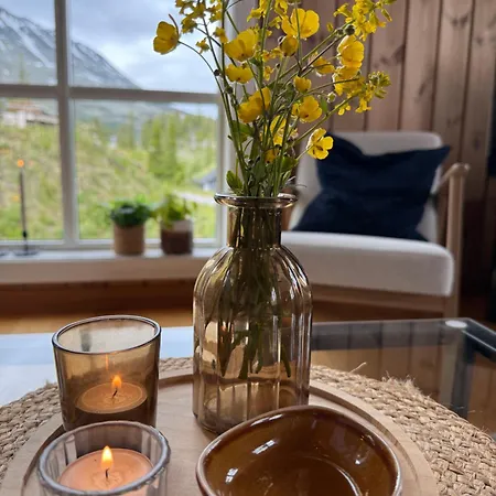 Gausta Med 6 Sengeplasser I Naerhet Til Gaustatoppen 別荘