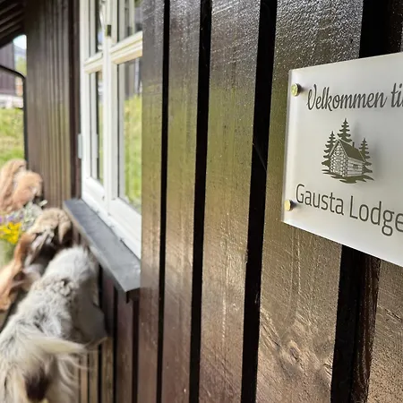 度假居 Gausta Med 6 Sengeplasser I Naerhet Til Gaustatoppen *