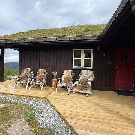 Gausta Med 6 Sengeplasser I Naerhet Til Gaustatoppen 別荘