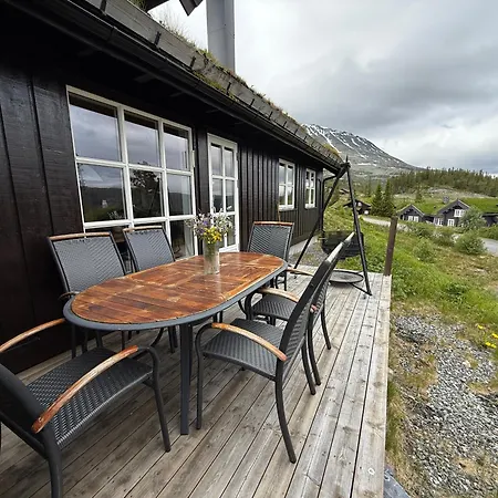 Gausta Med Elbillader, Naerhet Til Gaustatoppen In Out *
