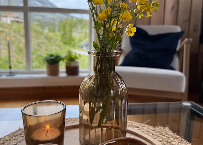 Gausta Med Elbillader, Naerhet Til Gaustatoppen In Out 度假居