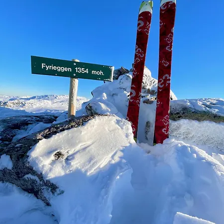 펜션 Gausta Med Elbillader, Naerhet Til Gaustatoppen In Out Gaustablikk